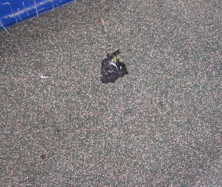 Fix playground surface damage.