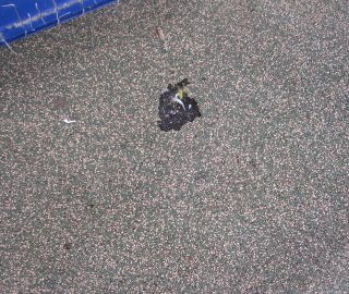 Fix playground surface damage.