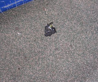 Fix playground surface damage.
